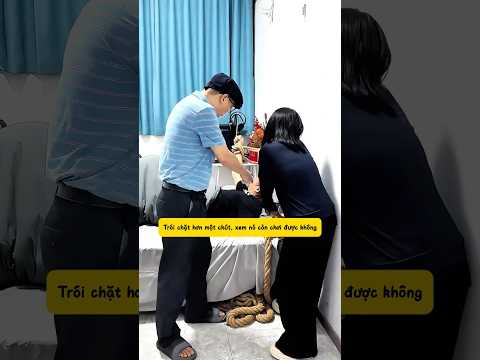 Cách Bố và Chị trị anh trai mê chơi game #funny #haihuoc #giaitri thumbnail