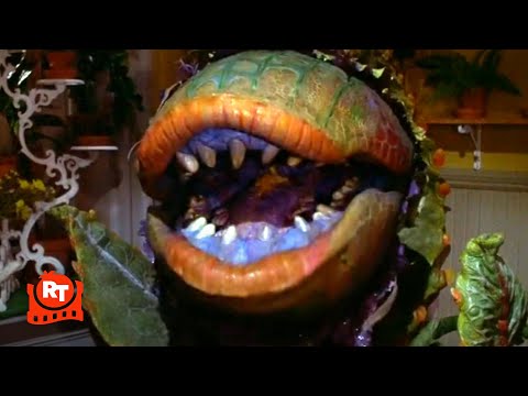 Little Shop of Horrors (1986) - Feed Me (Git It) Song (6/8) | Movieclips thumbnail