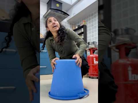 We Found a Mouse in a Bucket… Wait for the Twist 🤯🐭 | Mini Mouse thumbnail