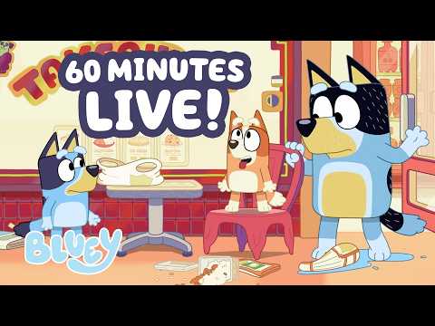 🔴LIVE: Food is Too Spicy for Bingo! 🔥 😆 | Takeaway + 1 HOUR Bluey Clips | Bluey thumbnail