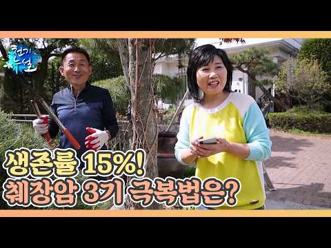 생존률 15%! 췌장암 3기 극복법은? MBN 260515 방송 thumbnail