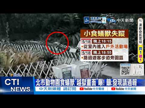 【每日必看】北市動物園食蟻獸"越獄畫面"曝! 籲:發現請通報 20260521 thumbnail