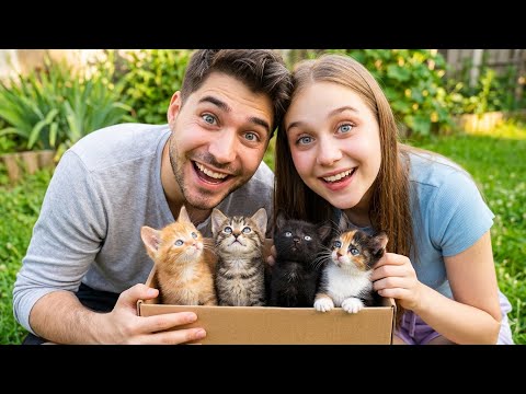SOKAKTA 4 TANE KEDİ BULDUK! ONLARA BAKTIK?! thumbnail