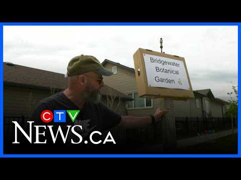 Winnipeg resident holding lawn mowing protest thumbnail