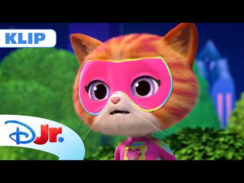 💡 Nocne światło | SuperKoty | Disney Junior Polska thumbnail