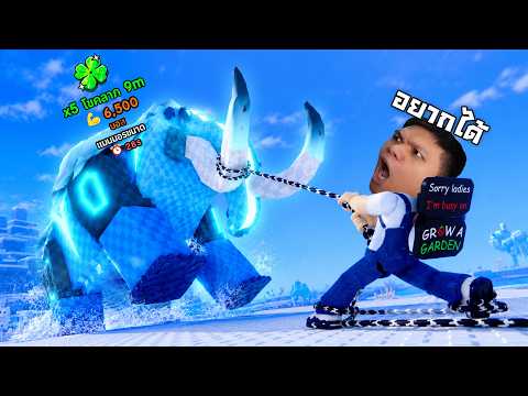 บอสตัวแรกของลุงเหม็น เป็นของฉันซะ! | Roblox Catch and Tame thumbnail