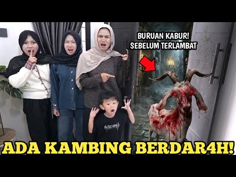 KABUR JIKA LIHAT KAMBING BERDAR4H DIRUMAH KALIAN! thumbnail