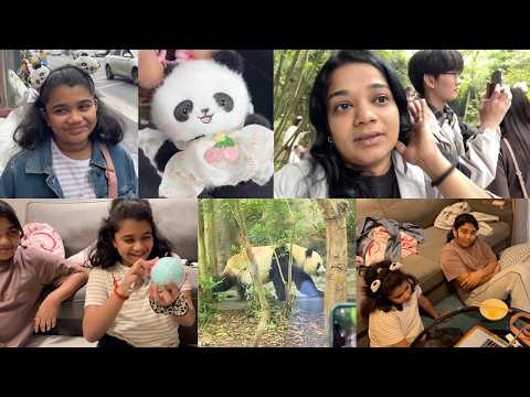 China Vlog 13 - Meeting The Cutest Panda Ever and Red Panda - Giant Panda Research Base Chengdu thumbnail