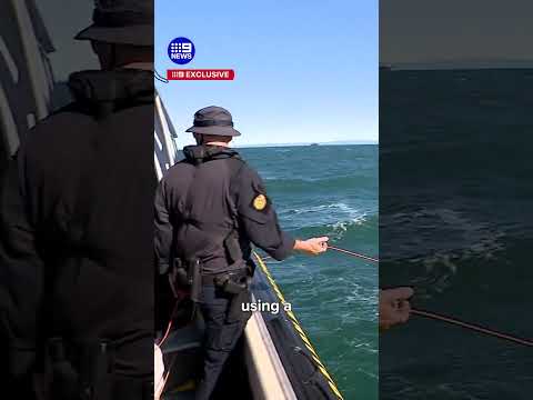The underwater robots catching drug cartels | 9 News Australia thumbnail