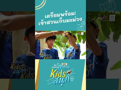 เตรียมพร้อม! เข้าสวนเก็บมะม่วง | ภารกิจKIDSสนุก HIGHLIGHT thumbnail