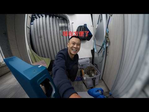 新添置个猫砂盆这就方便多了突降大冰雹在车里吃肉喝酒安全感十足 thumbnail