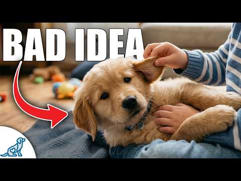 Don’t Get Your Kids a Dog Until YOU Decide This... thumbnail