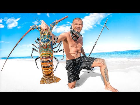 Surviving On Shark Island Until I Catch My Own Food thumbnail