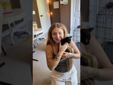 Surprising my girlfriend with a KITTEN 🐈‍⬛ thumbnail