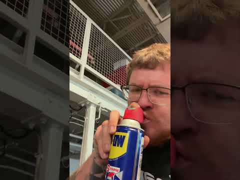 Blue collar rich thumbnail