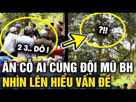 Ngồi ĂN CỖ mà ai cũng ĐỘI MŨ BẢO HIỂM, nhìn lên cây lập tức HIỂU VẤN ĐỀ | Tin 3 Phút thumbnail
