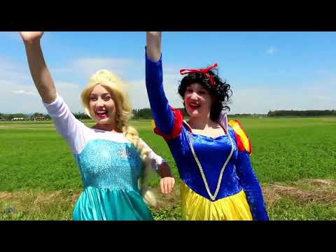 The Frozen Elsa - Anna the TOY STORE!  - Spiderman Joker Maleficent Pink Spidergirl Funny thumbnail