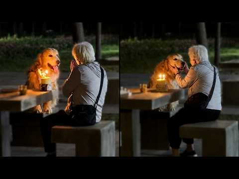 Grandma Throws The Sweetest Birthday Ever For Her Dog thumbnail