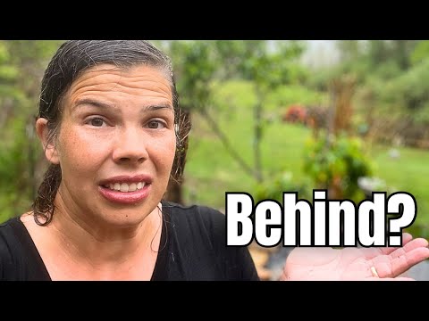 If You’re Behind in Your Garden… Do This First thumbnail