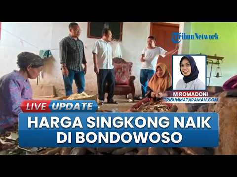 Efek Harga Singkong Naik Tajam, Sejumlah Pengusaha Tape di Bondowoso Kini Pilih Kurangi Produksi thumbnail