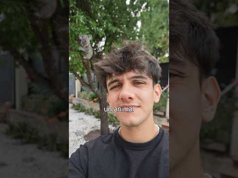 Escondí animales en mis fotos y nadie se dio cuenta. thumbnail