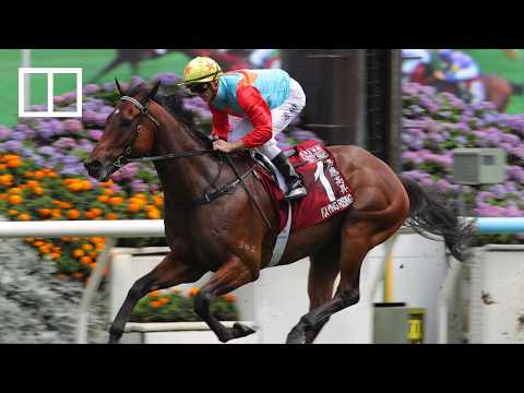 Jockey Zac Purton says wife Nicole made his journey possible thumbnail
