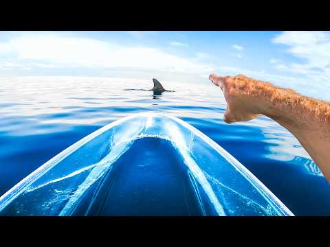 Exploring For Sea Creatures In My Transparent Kayak thumbnail