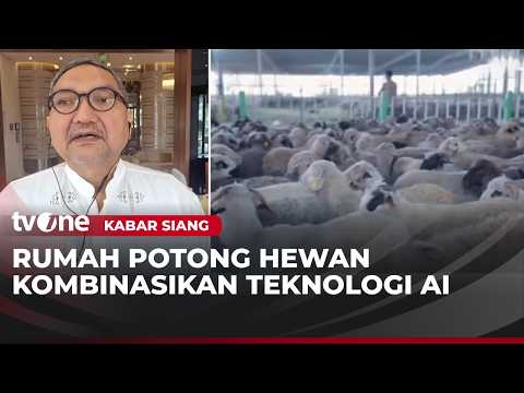 Adahi Operasikan Tujuh Kompleks Rumah Potong Hewan Modern di Makkah | Kabar Siang thumbnail