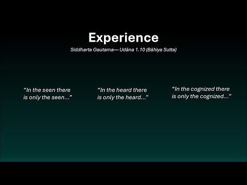 Experiencer Design: Reclaiming Agency in a Designed World | Carlos Pompa | TEDxKigali thumbnail