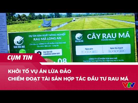 Khởi tố vụ án lừa đảo chiếm đoạt tài sản hợp tác đầu tư rau má | Cụm tin | VTV24 thumbnail