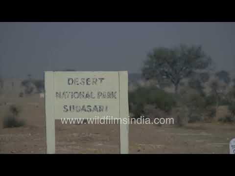 Desert landscapes, traditional settlements, and wildlife habitats in Desert National Park thumbnail