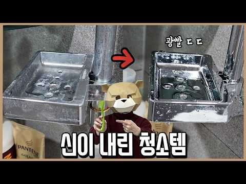 미친 성능의 신이 내린 대청소템 TOP3 l 내돈내산 thumbnail