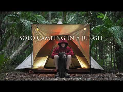 SOLO Camping in a Rain Forest with my Dog [ Cozy Tipi Tent shelter in an Australian Jungle, ASMR ] thumbnail