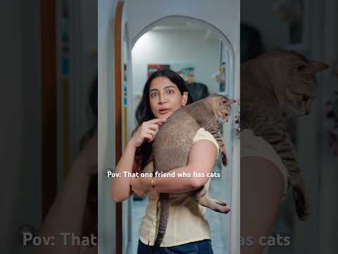 I identify myself as a catpaglu? do you? #funny #comedy #relarelate #cats #ad #memes #friends #lol thumbnail