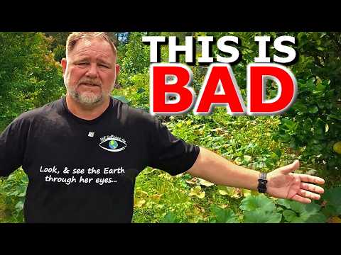 My Garden Has Never Been This BAD... thumbnail