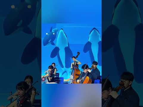🐋🎶 الحوتة الذكية التي أدهشت الجميع بمقالبها ورقصها 😄💦 thumbnail