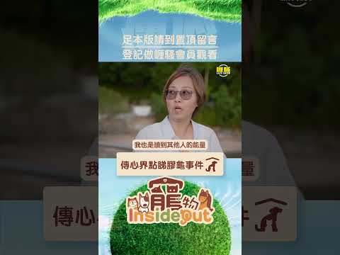 信與唔信，其實都係睇自己！#寵物Insideout #杜汶澤喱騷 #蝦頭 #楊詩敏 thumbnail