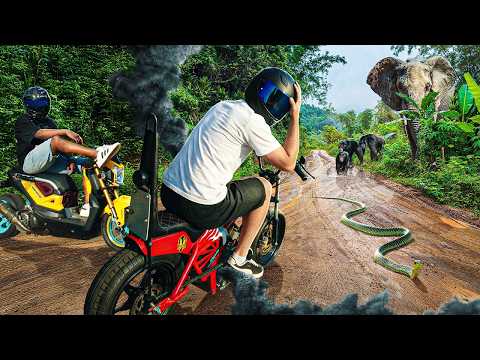 Mit SCHROTT BIKES zum Golden Triangle: Wir bleiben Nachts im Jungle liegen #3 thumbnail