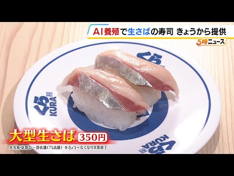 深刻なサバ不漁の救世主となるか？「くら寿司」がAIを活用して養殖の「大型生さば」を提供　中東情勢で輸入水産物の価格も上昇する中…国内養殖に注力 #short thumbnail