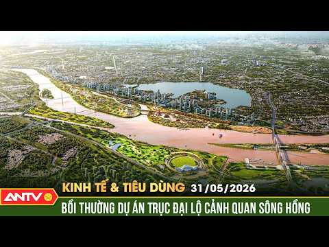 Phó Thủ tướng chỉ đạo về dự án Trục đại lộ sông Hồng | Bản tin kinh tế và tiêu dùng ngày 31/5 | ANTV thumbnail