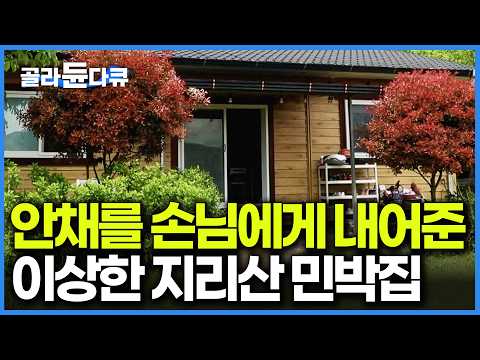 봉쇄 수도원에서 30년 세월을 보낸 자매가 다시 세상 밖으로 나와 민박집을 차렸더니｜한국기행｜#골라듄다큐 thumbnail