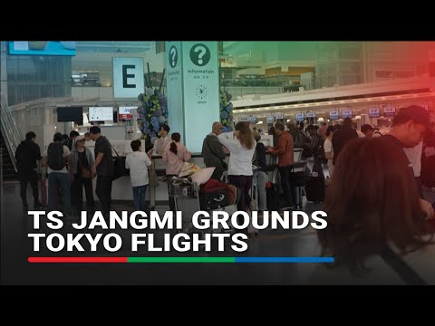 Tropical storm Jangmi grounds hundreds of flights in Tokyo airport thumbnail
