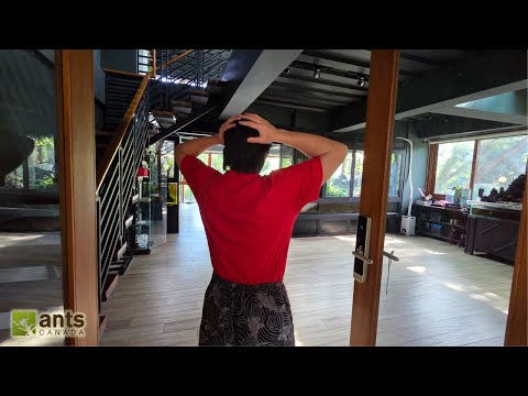 Touring My Brother Around My Vivariums, Ant Room, and Giant Home Aviary thumbnail
