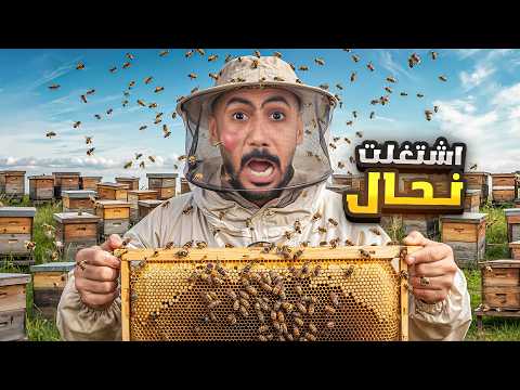 تحدي مين يصيد ملكة النحل!🐝🍯| الفائز له 3000$💵 thumbnail