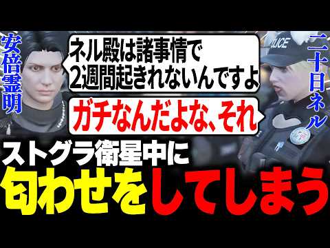 【#ストグラ】二十日ネルの行動を当ててしまい同棲疑惑が浮上する安倍霊明www【アベレージ/二十日ネル/えびす/ねけまる/しおこうじ】 thumbnail