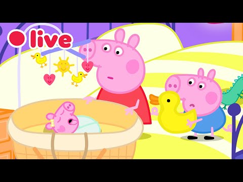 🔴 LIVE: Cutest Baby Evie Episode 🍼 Peppa Pig Best Big Sister Moments✨Kids Cartoons 🐷 FULL Episodes thumbnail