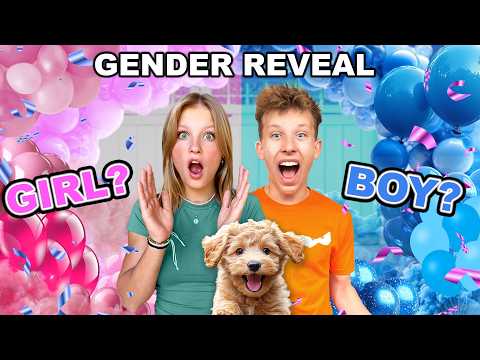 Puppy Gender Reveal! So CUTE! thumbnail