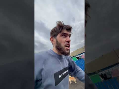 Инкубация гусиных яиц😱 thumbnail