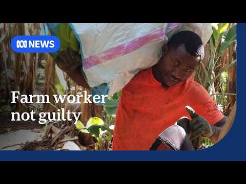Farm worker found not guilty of murder in circular saw amputation trial | ABC NEWS thumbnail
