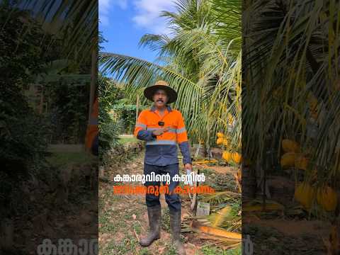 കണ്ണിൽ നോക്കരുത് 😂  #australianjeevitham thumbnail
